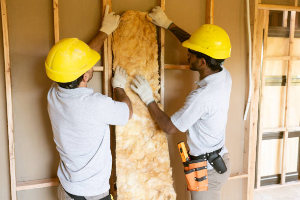Best Insulation Contractors for Homes  in Tye, TX