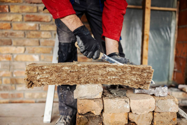 Best Insulation Removal Services  in Tye, TX