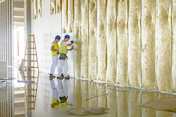 Best Wall Insulation Contractor  in Tye, TX